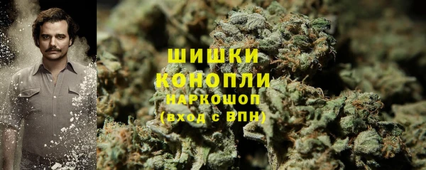 дмт Лагань
