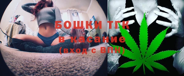дмт Лагань