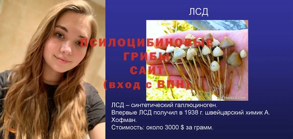 дмт Лагань