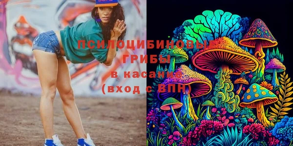СК Ладушкин
