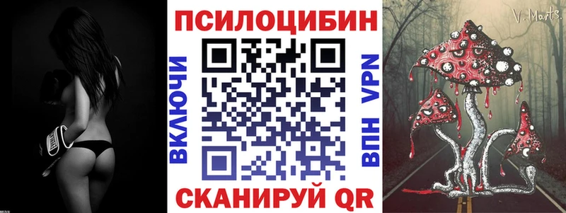 Купить где  Верещагино  Галлюциногенные грибы мицелий 